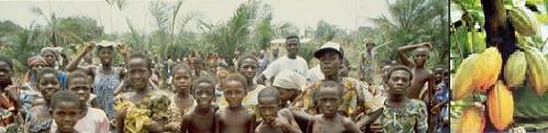 Banner Badou
